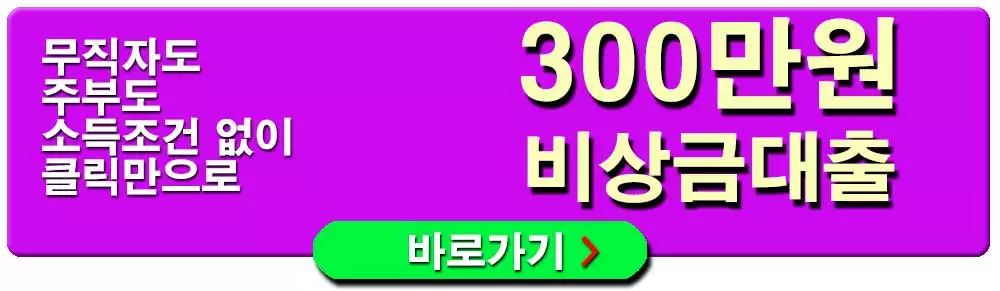 300만원-비상금대출