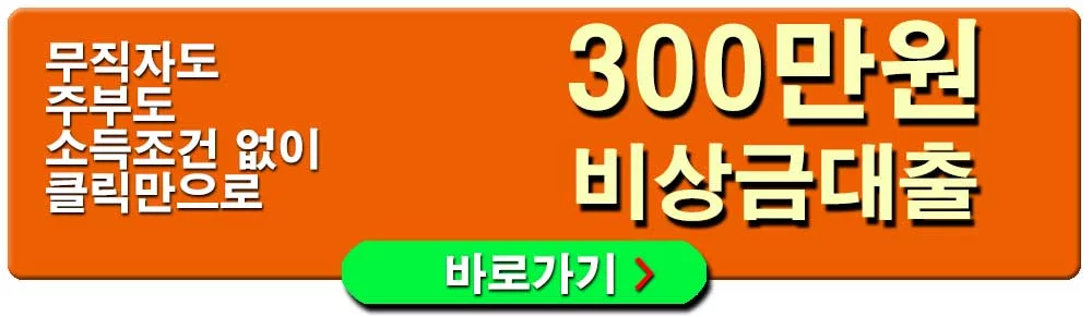 300만원-비상금대출-소득