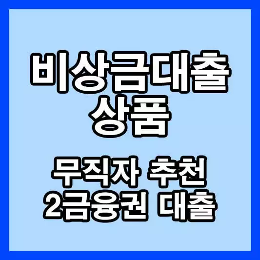 비상금 대출 상품