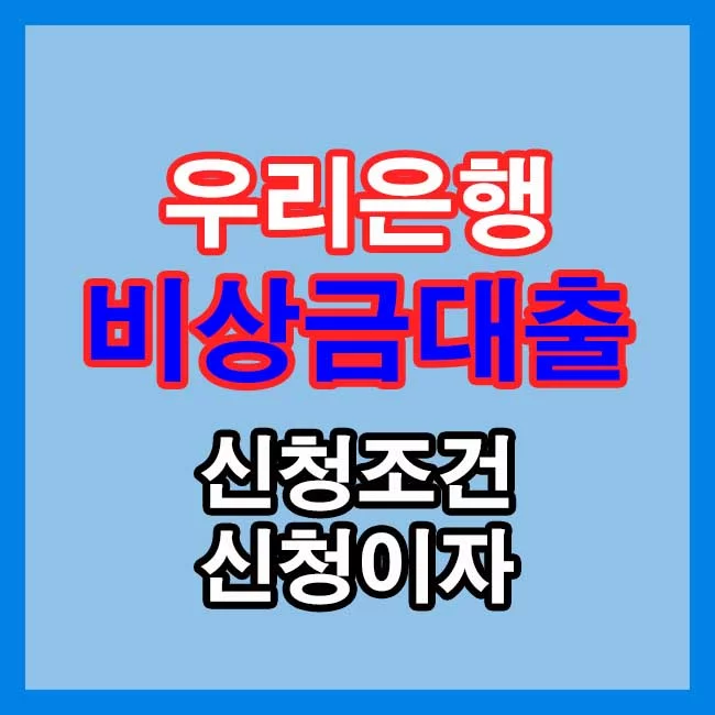 우리은행 비상금대출