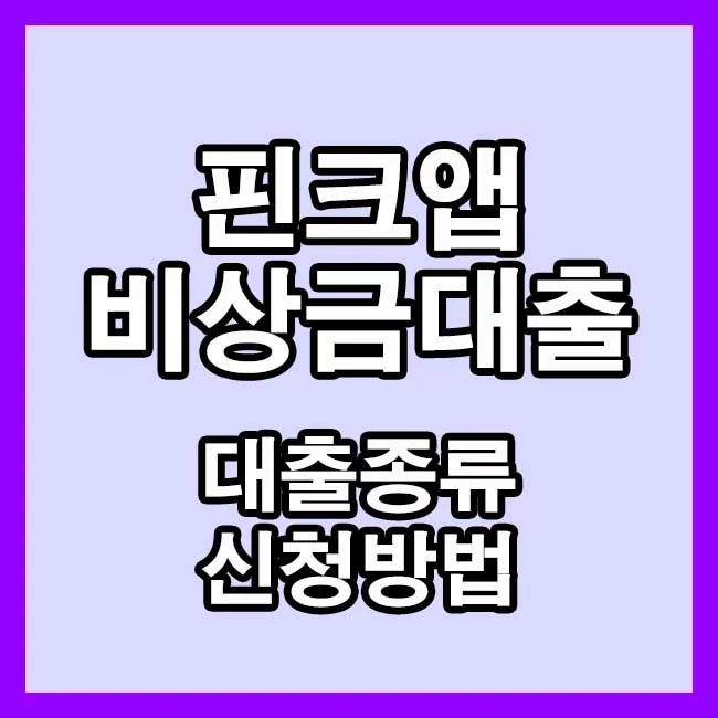 핀크-비상금대출